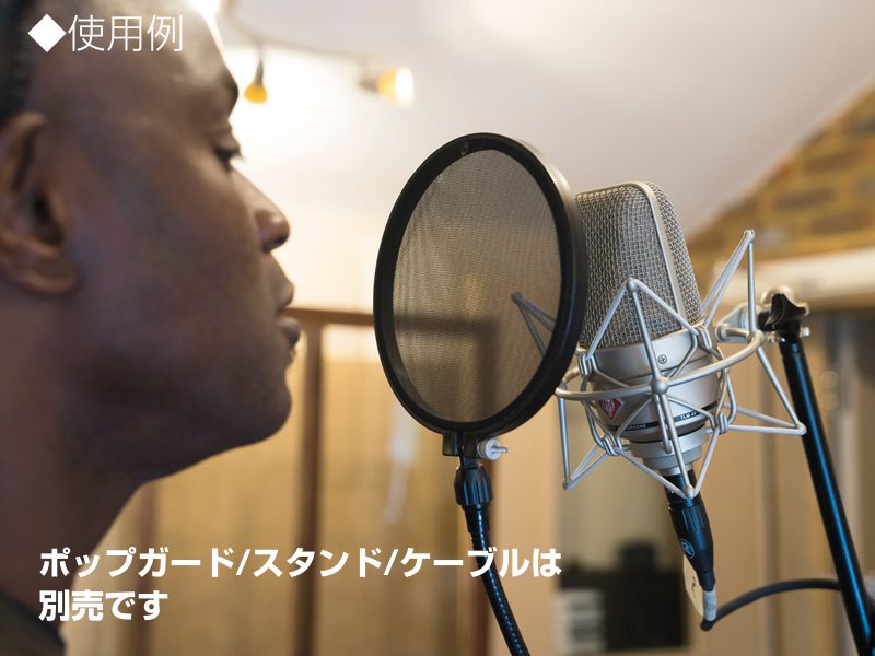 楽天市場】NEUMANN ノイマン TLM49 SET 【国内正規品 3年保証