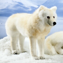 楽天市場】ケーセン Koesen ぬいぐるみ ホッキョクオオカミ 立ち POLAR