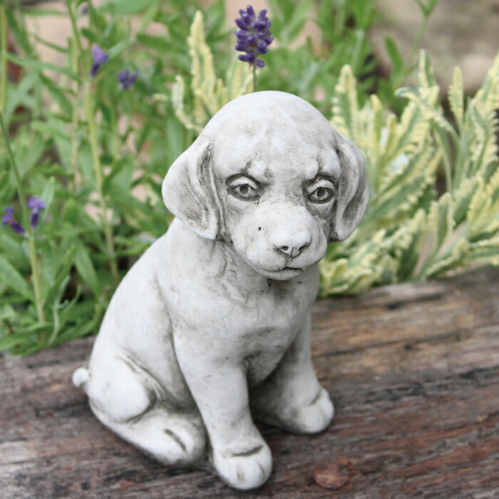 楽天市場】Hampshire Garden Craft ガーデニング オーナメント PUPPY