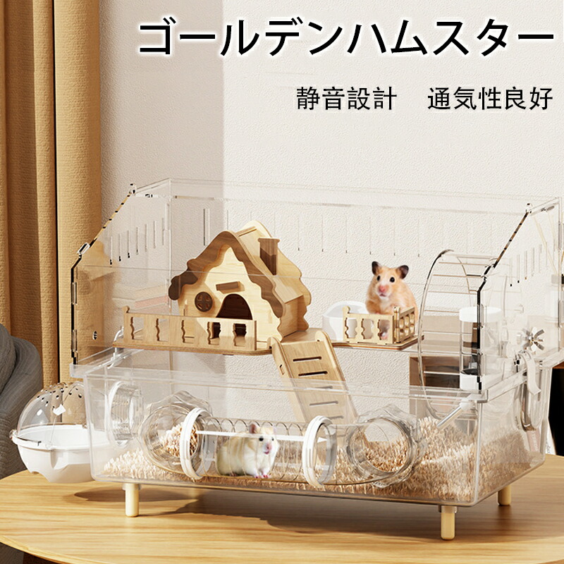 楽天市場】【先着200名様限定☆ 500円OFF】アクリル製 ゴールデン