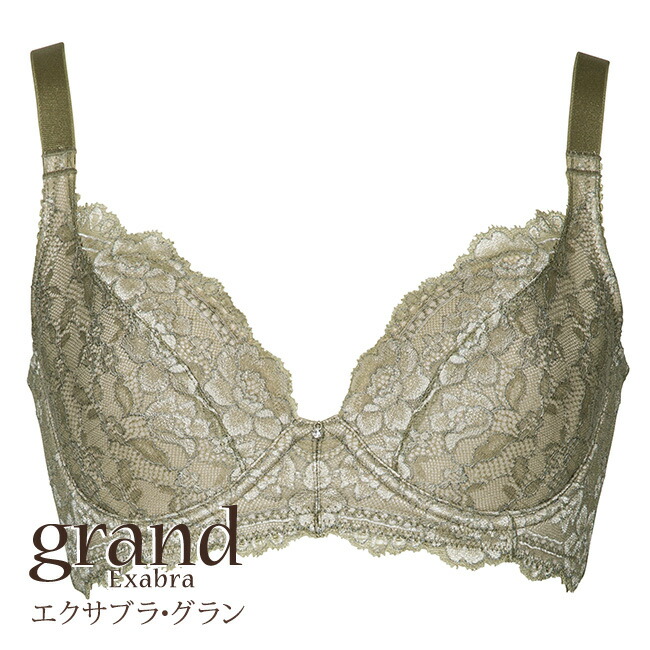 楽天市場】バストアップ｜補正下着ならエクサブラ【送料無料