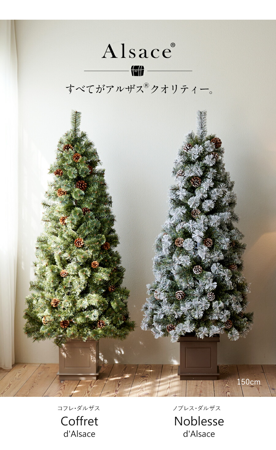 楽天市場】【公式 Alsace(R) 正規品】ポットツリー Coffret(コフレ