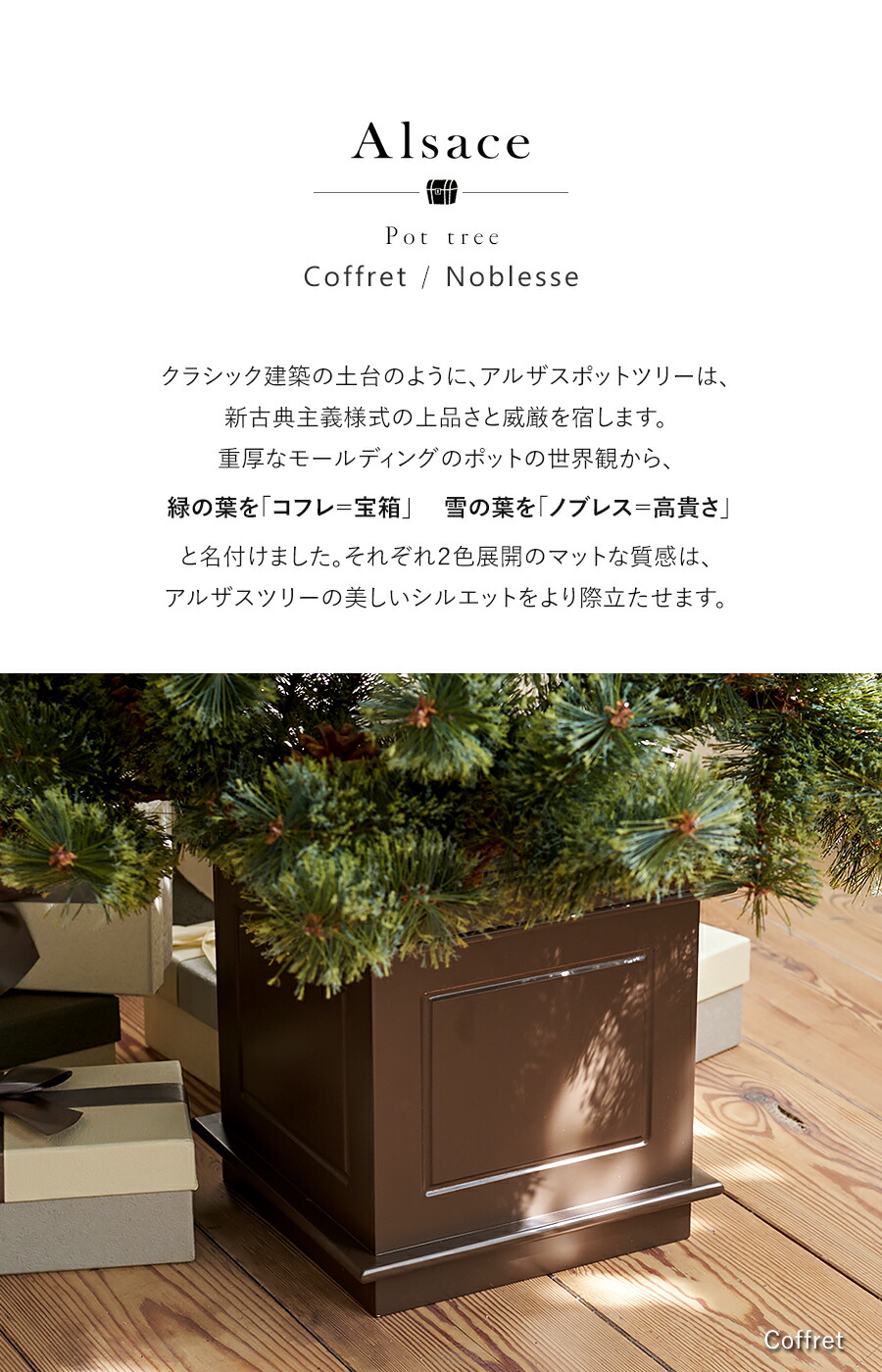 楽天市場】【公式 Alsace(R) 正規品】ポットツリー Coffret(コフレ
