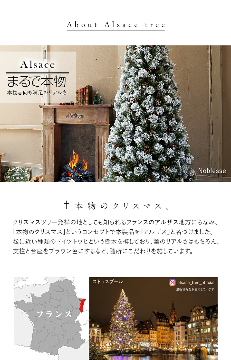 楽天市場】【公式 Alsace(R) 正規品】ポットツリー Coffret(コフレ