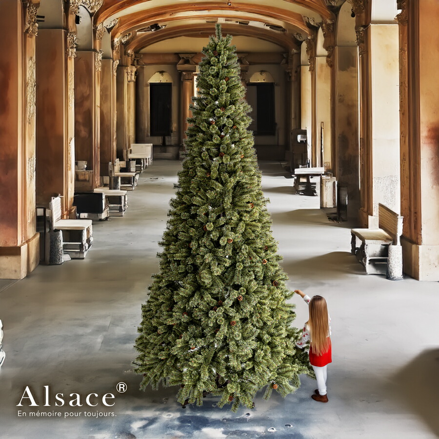 楽天市場】【公式 Alsace(R) 正規品】業務用 Alsace(R)公式 正規品