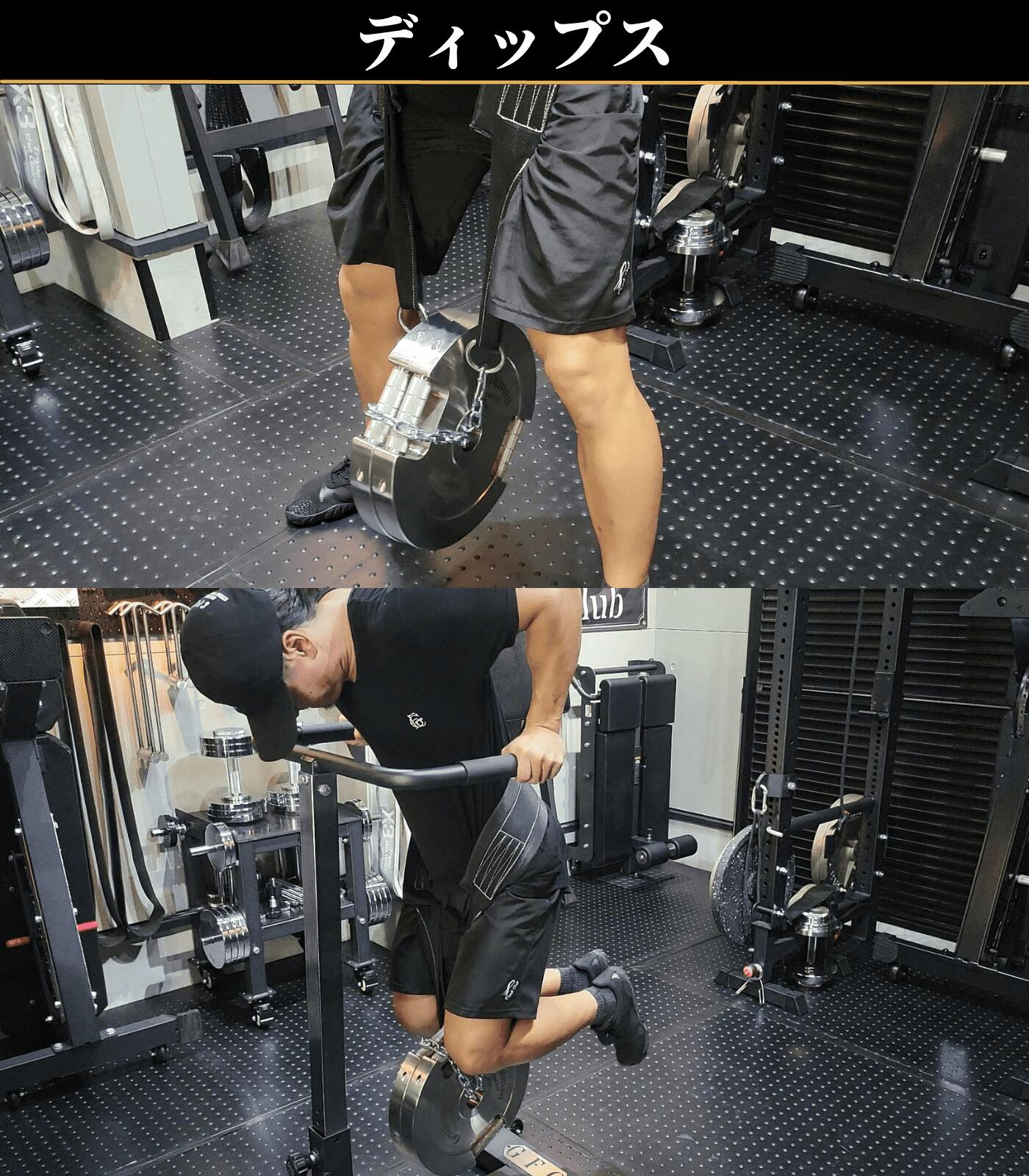 楽天市場】ベルトスクワット / ディップスベルト