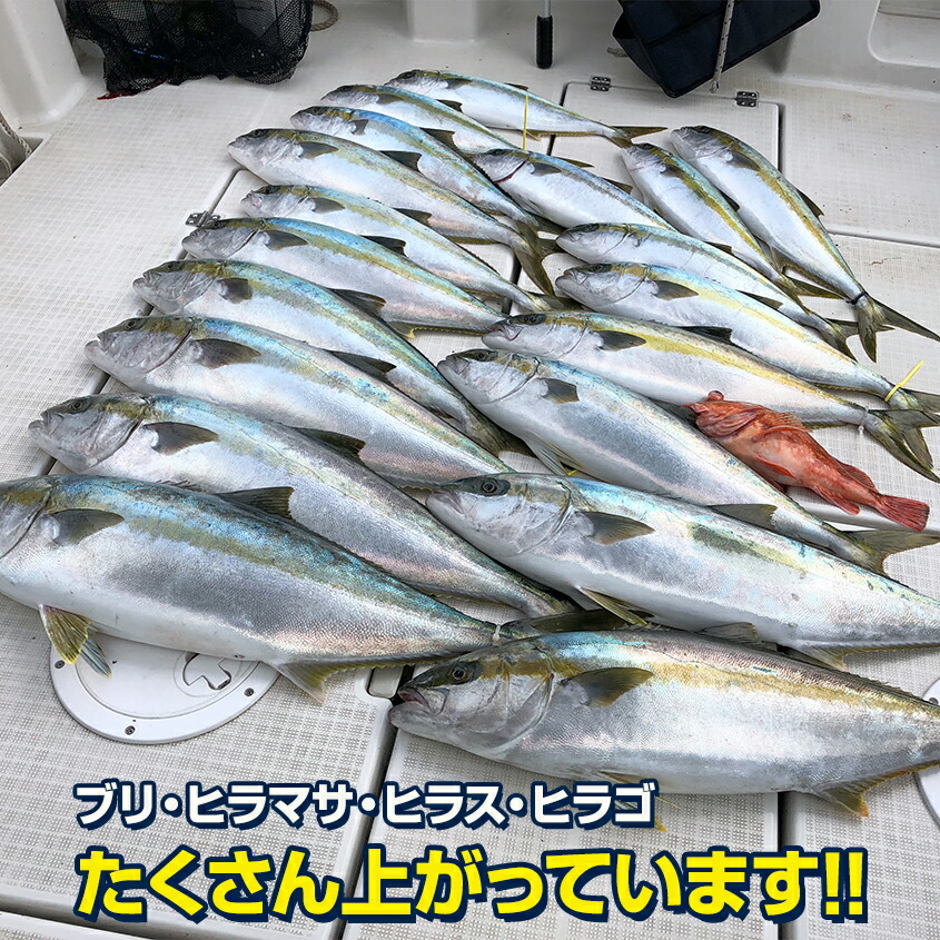 楽天市場】ジグ 120g オフショア ジギング ブリ ヒラマサ カンパチ