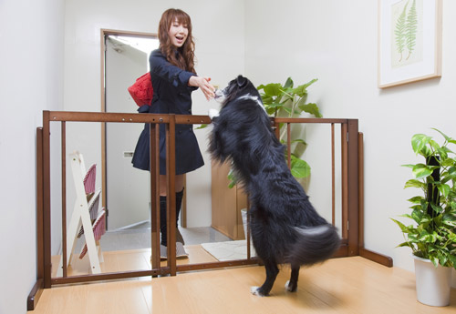 楽天市場】[スタンドゲートF80Aアクリル]ペットゲート 犬用 置くだけ