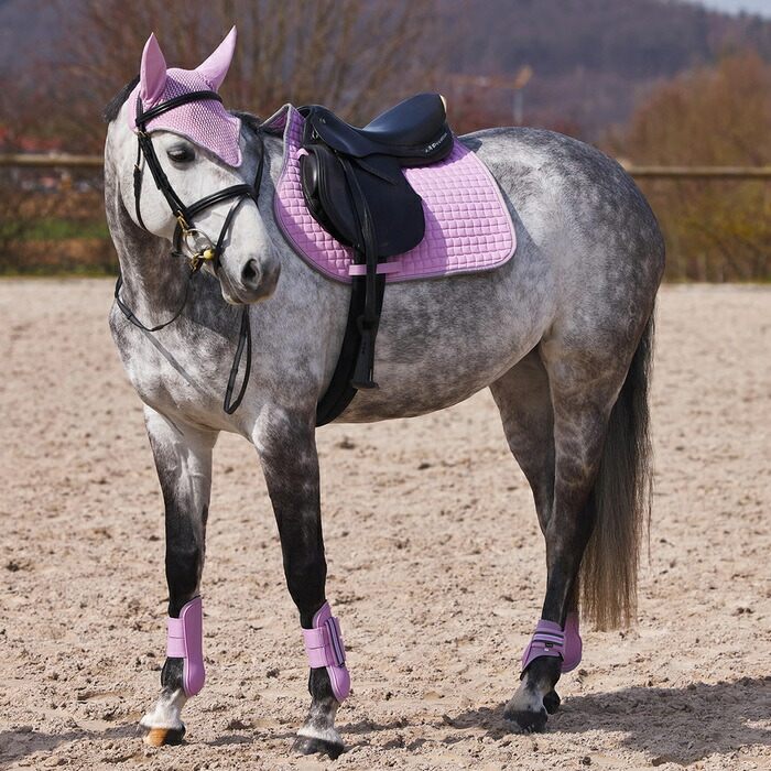 楽天市場】【送料無料】Horze 後肢用 レッグ プロテクター HPB22 左右