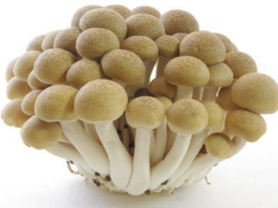 楽天市場】しめじ〈シメジ〉1ケース、50パック前後、5Kg前後 : 【築地