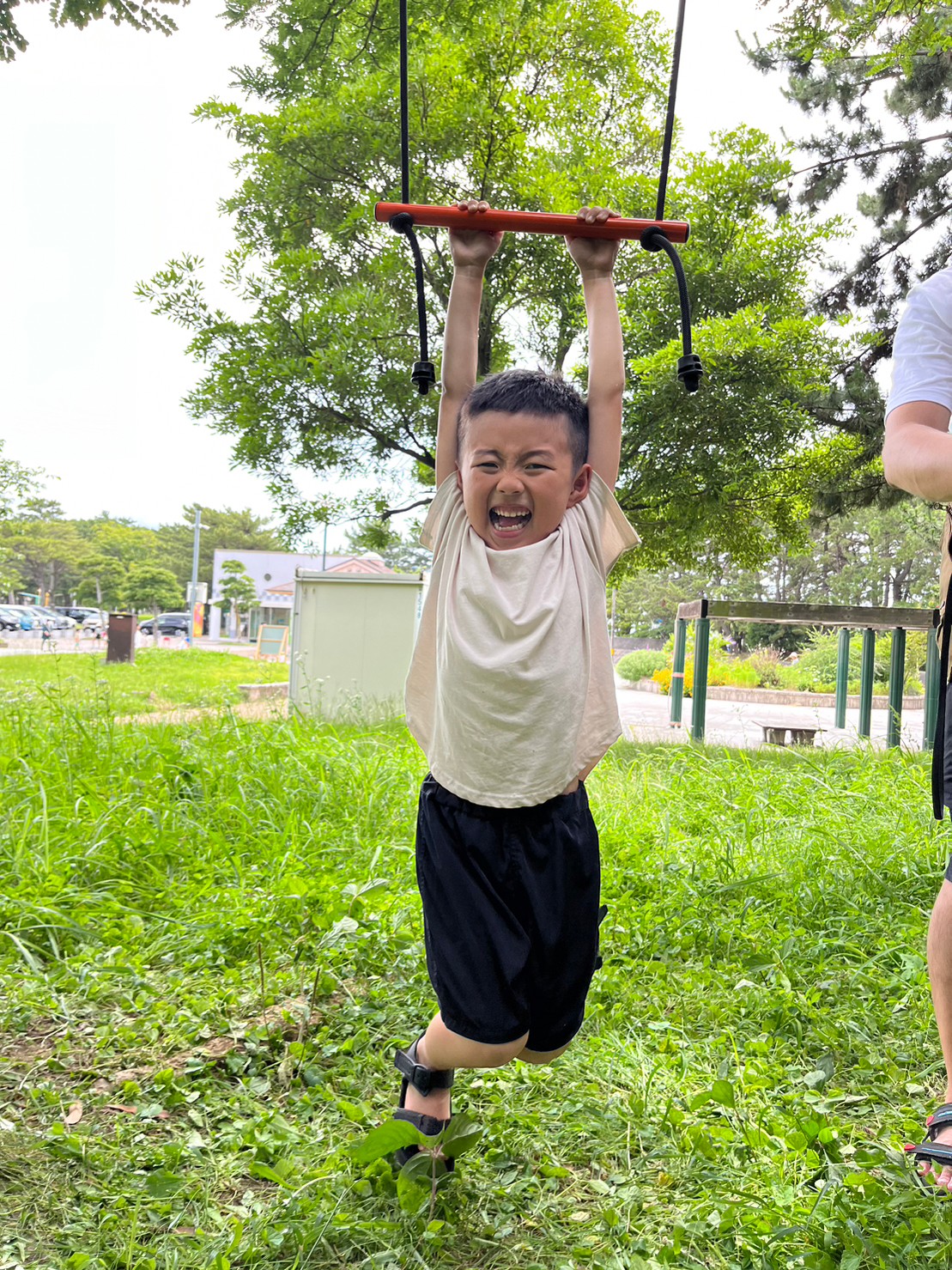 楽天市場】365日出荷対応 即納 アドベンチャースポーツ ツリースイング