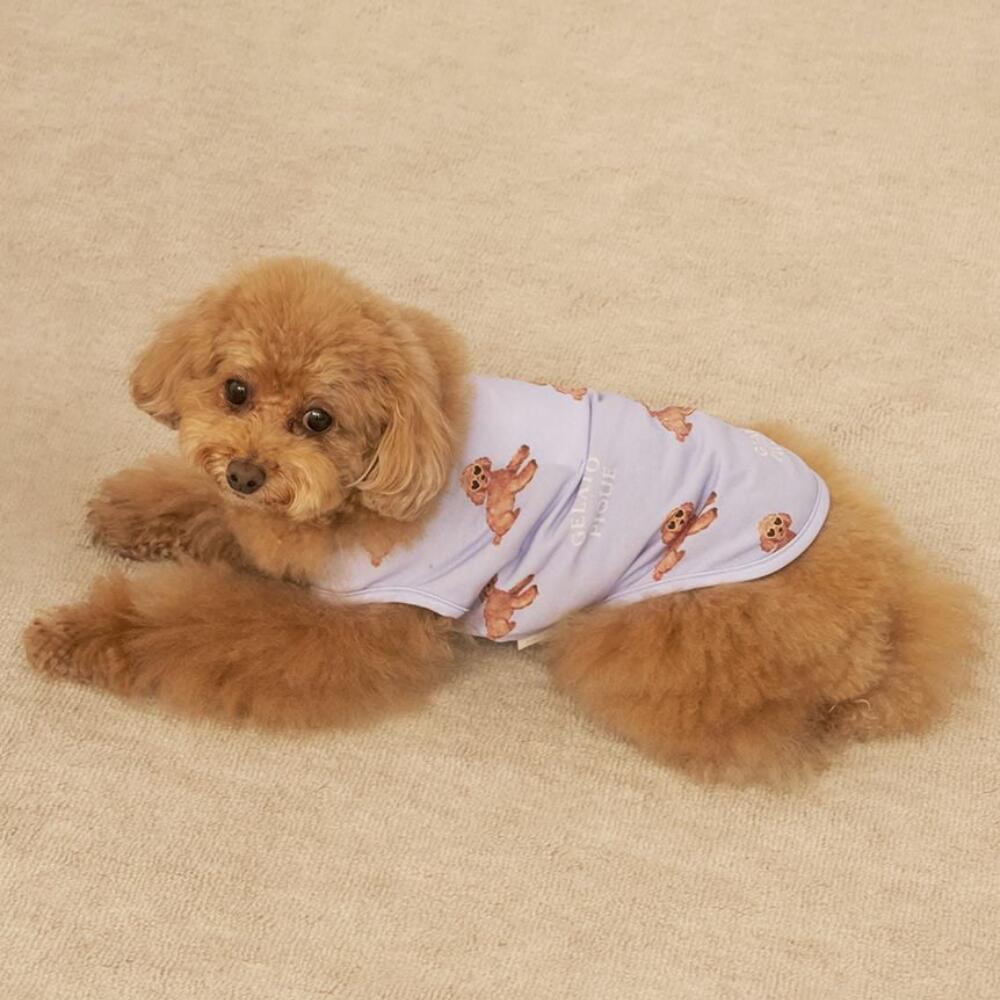 楽天市場】ジェラートピケ gelato pique 接触冷感 サマートイプードル