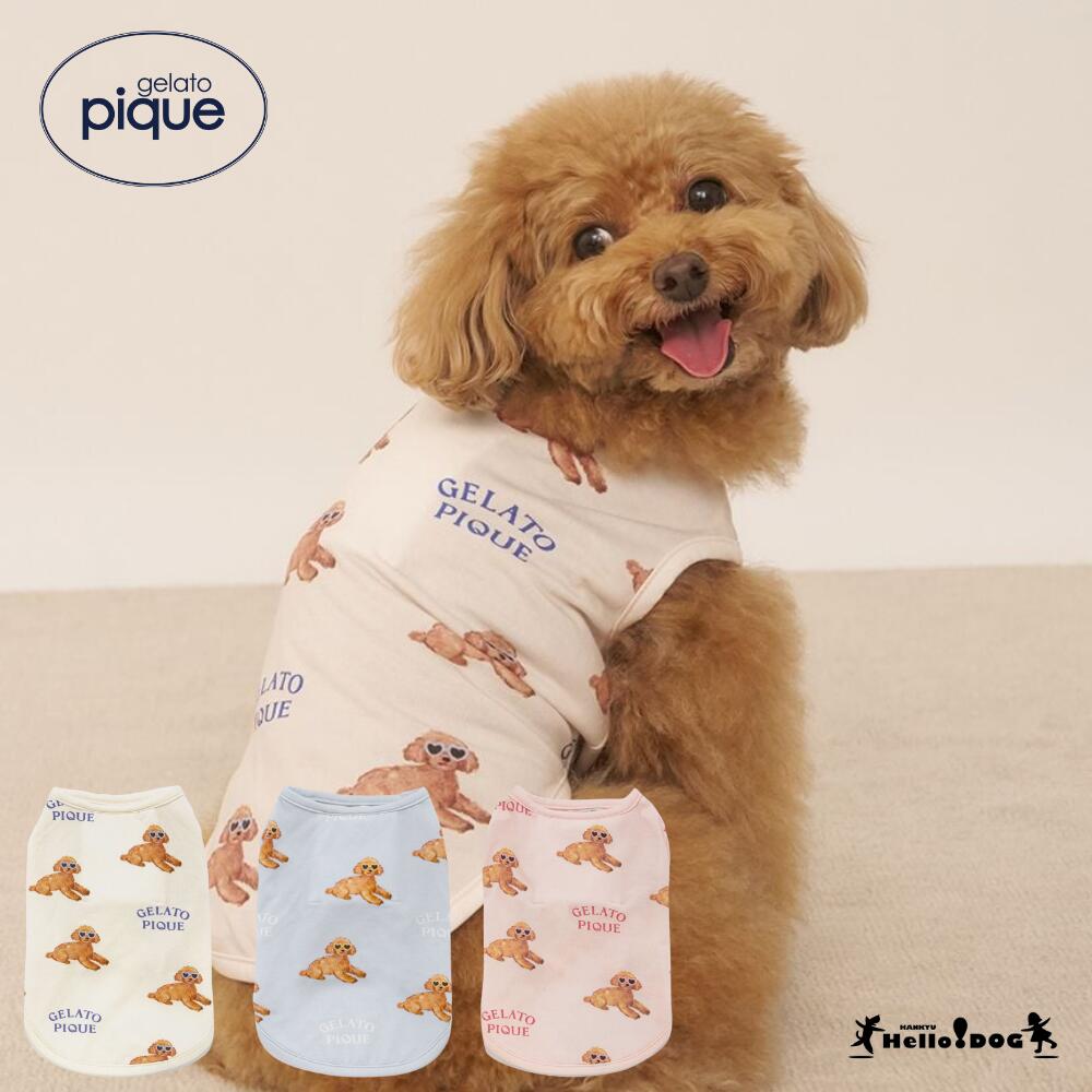 楽天市場】ジェラートピケ gelato pique 接触冷感 サマートイプードル