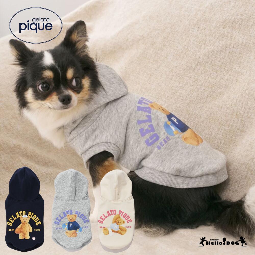 楽天市場】gelato pique スポーティーベア裏毛プルオーバー 【翌日出荷