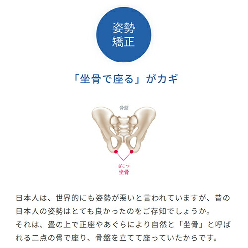楽天市場】アーユル・チェアー メディカルシート 座椅子＆座面シート