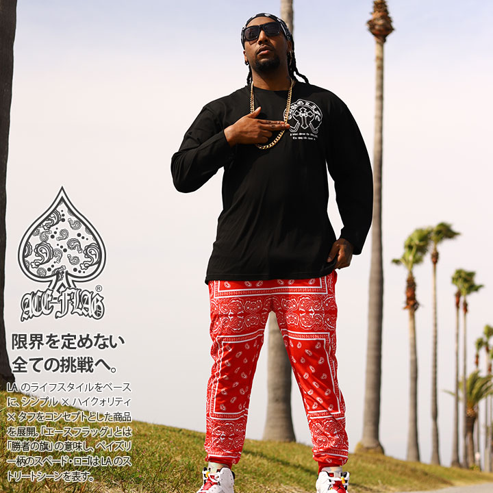 楽天市場】【48%OFF】ACE FLAG 上下セット 長袖 ブランド Tシャツ ロン