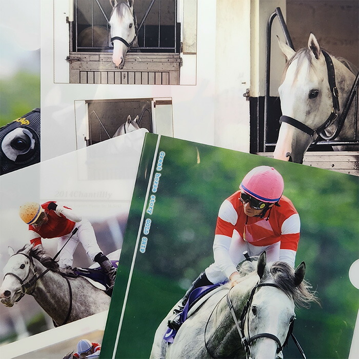 楽天市場】ゴールドシップ号クリアファイル7枚セット【○ レース