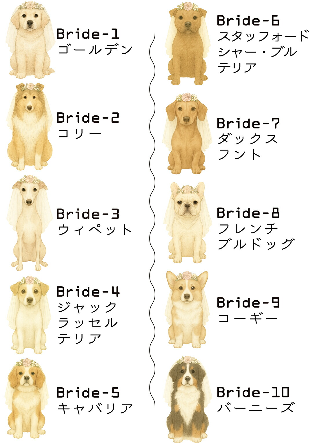 楽天市場】わんこのウェディング日和｜ゲスト参加型 結婚証明書 犬