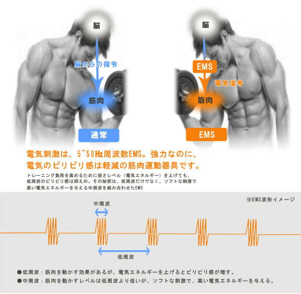 楽天市場】EMS 腹筋ベルト アクティブパッド 15段階パワー 男女兼用