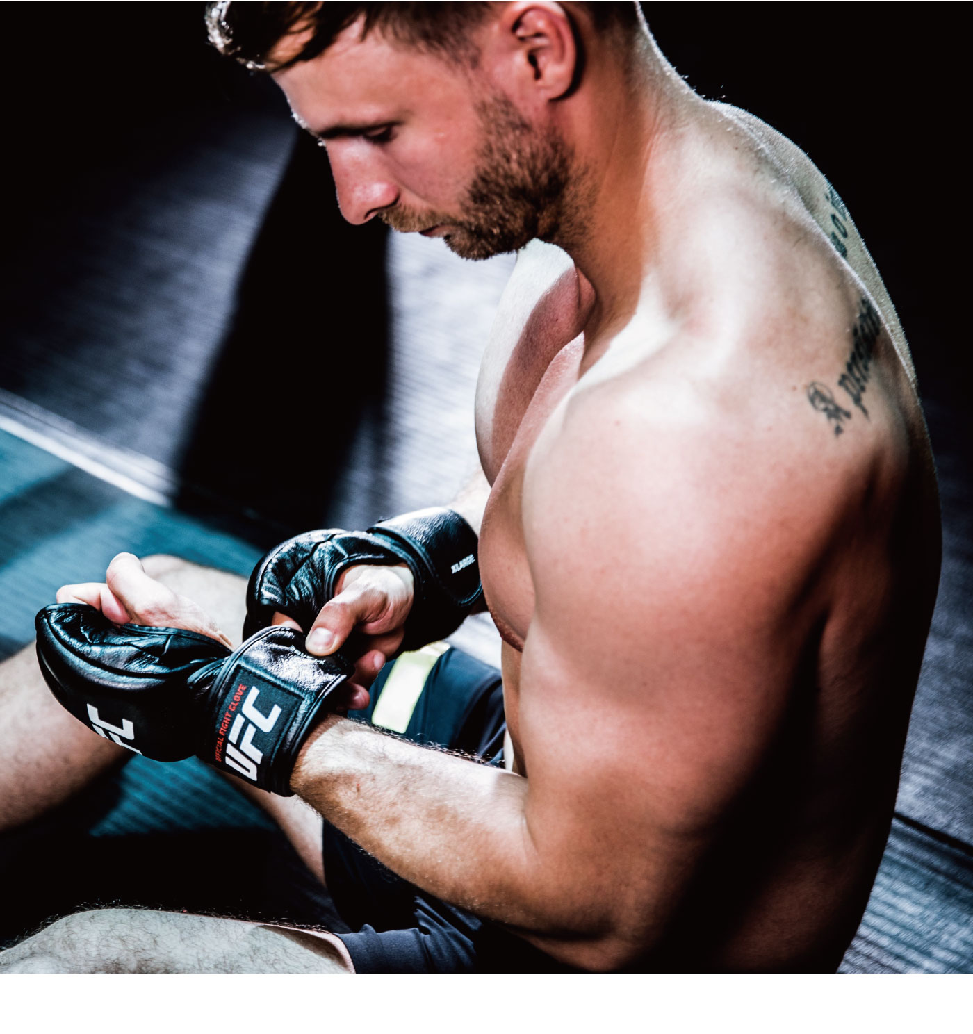 楽天市場】オフィシャルファイトグローブ オープンフィンガー UFC 総合