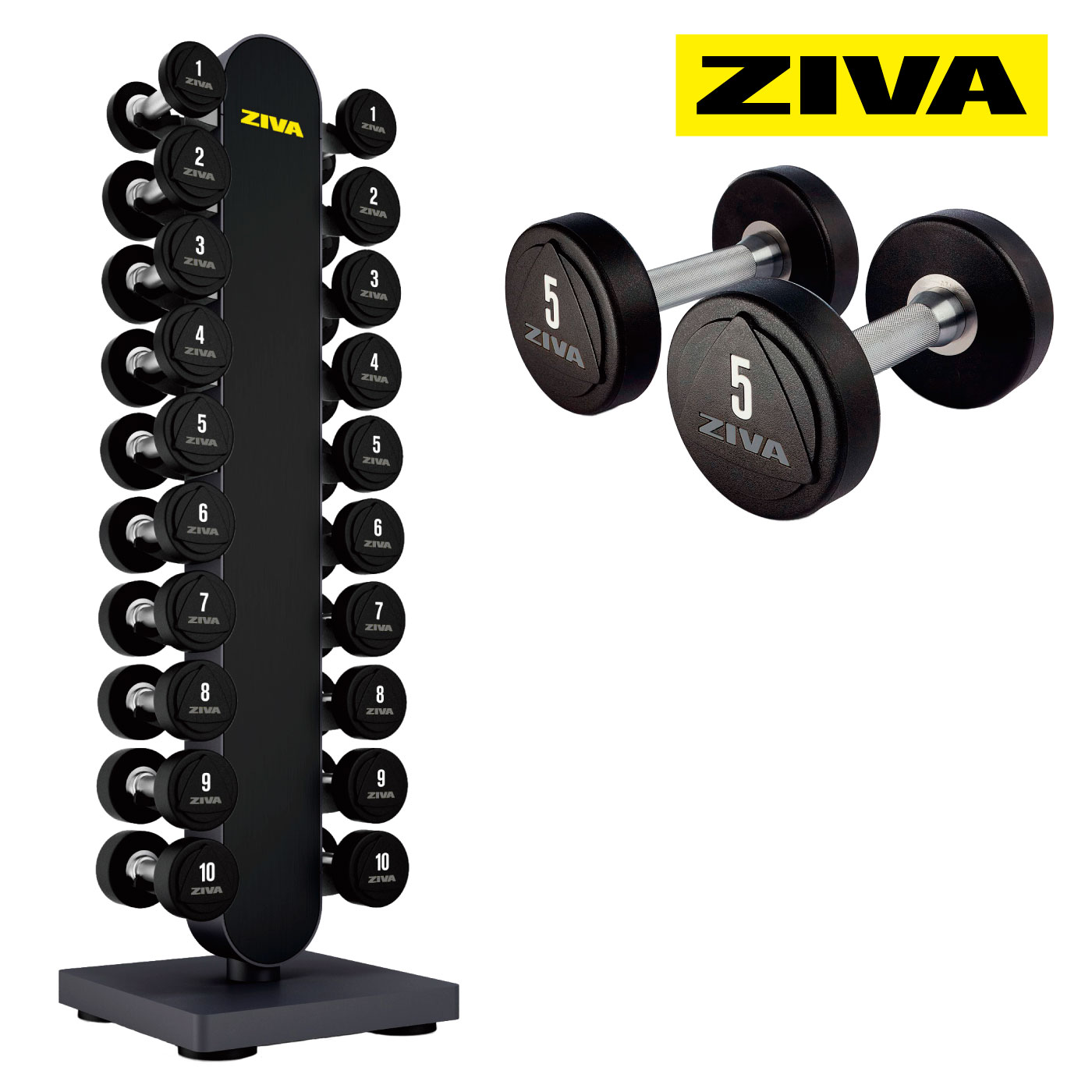 楽天市場】【業務用】ウレタンダンベル 10ペア 20個 1-10kg ダンベル