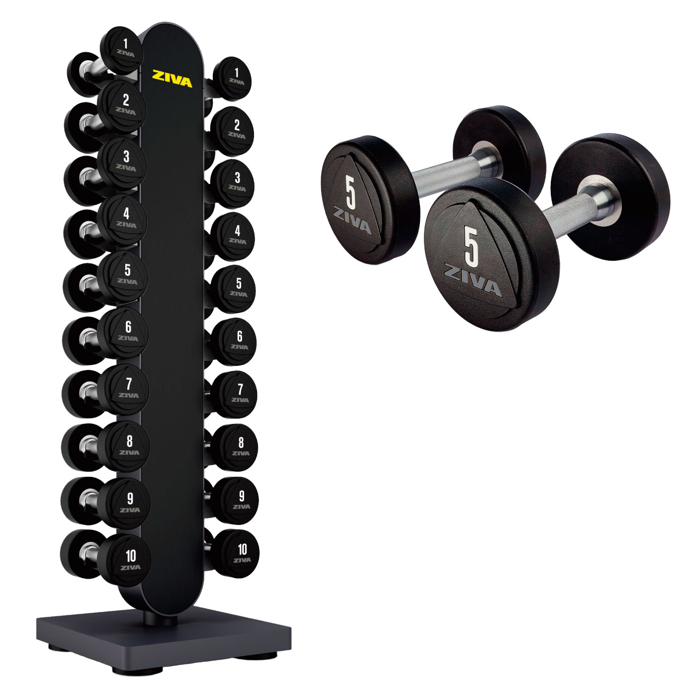 楽天市場】【業務用】ウレタンダンベル 10ペア 20個 1-10kg ダンベル