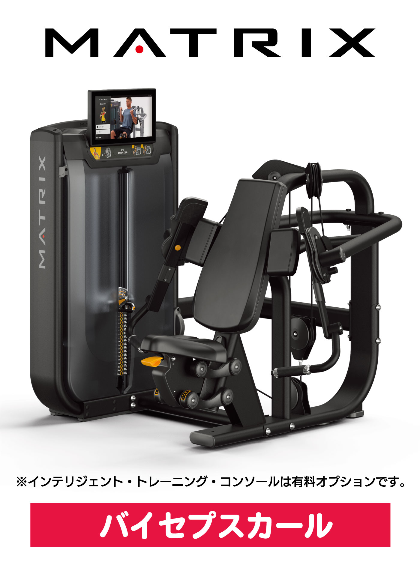 楽天市場】ストレングスマシン ウエイトマシン バイセプスカール