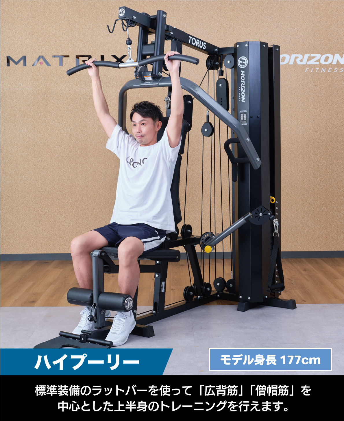 楽天市場】【当店限定モデル】 マルチジム ホームジム TORUS 3