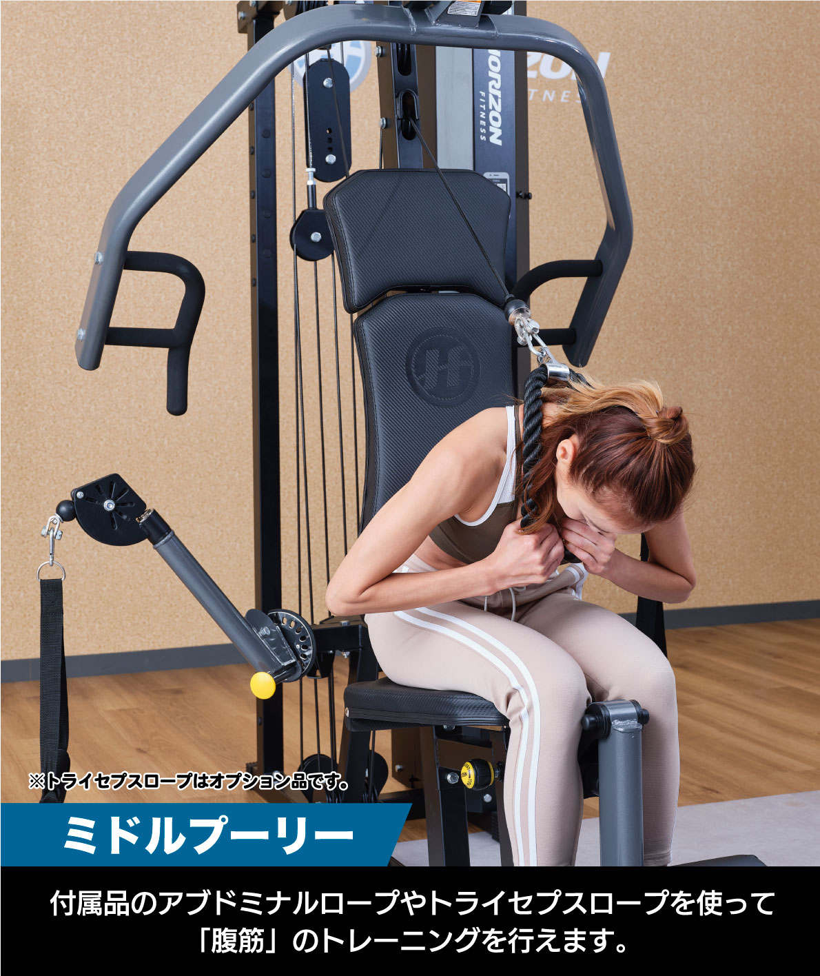 楽天市場】【当店限定モデル】 マルチジム ホームジム TORUS 3