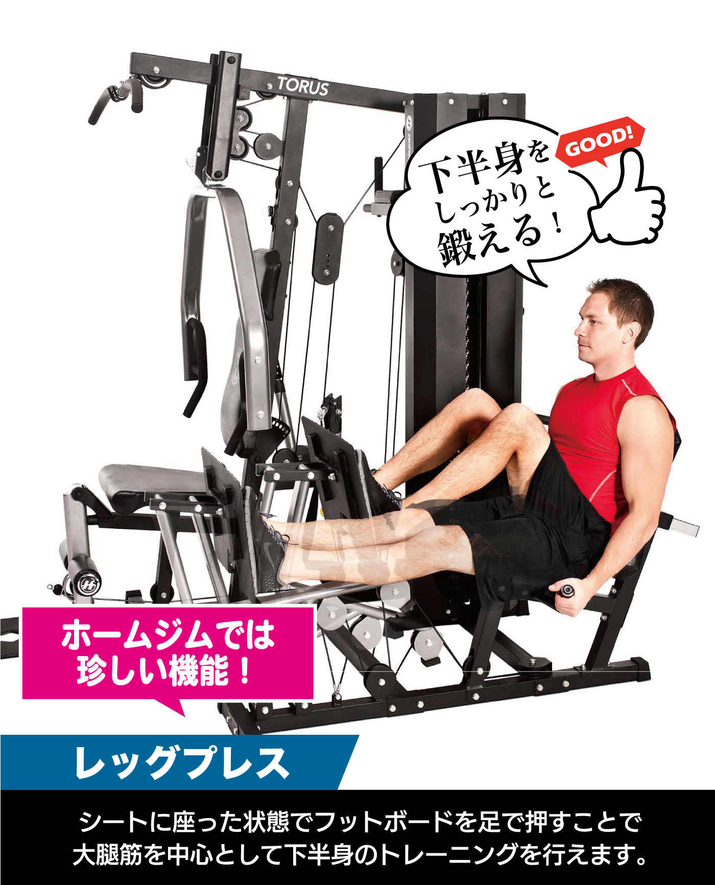 楽天市場】【期間限定 特別価格】 マルチジム TORUS5 トーラス ホーム