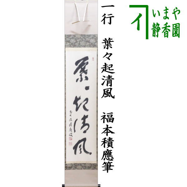 2997 須賀玄道 「鶴舞千年松」 共箱 肉筆 掛軸 臨済宗 大徳寺 禅語2997