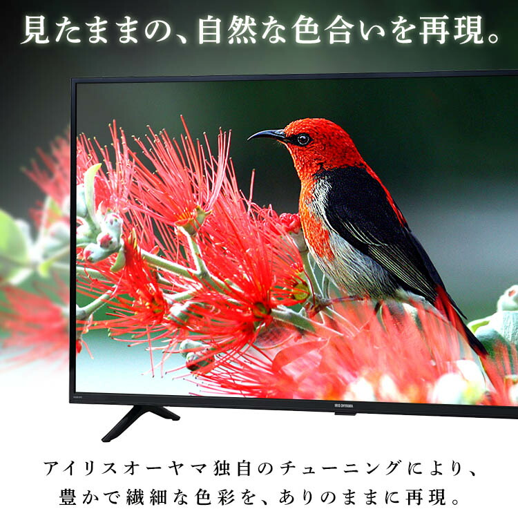 楽天市場】【訳あり】テレビ 24型ハイビジョンテレビ 24WB10PB
