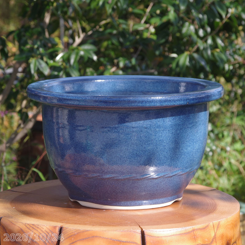 盆栽鉢 大型」の人気商品一覧 | 安い商品を通販サイトから探す - 価格.com
