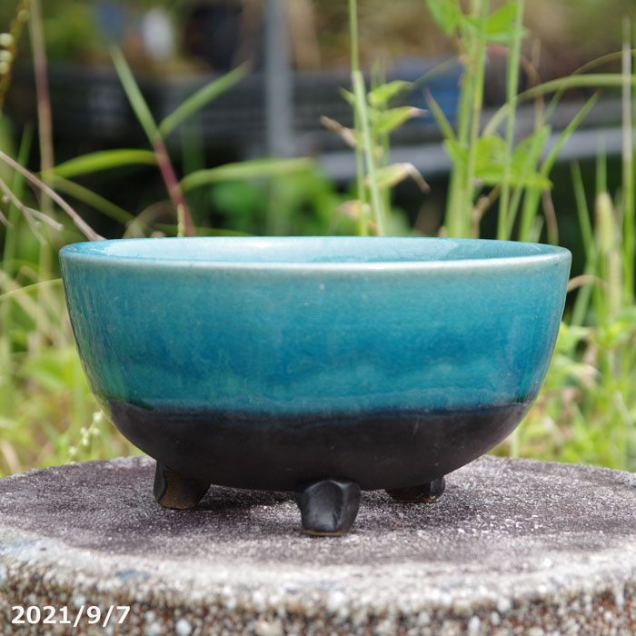 楽天市場】【キズ有の物には割引あり】選べる 青ガラス足付 6号(外径