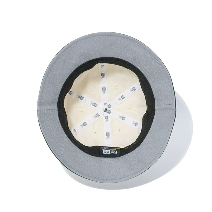 楽天市場】【 NEW ERA ニューエラ 】 EXPLORER Powered by GORO