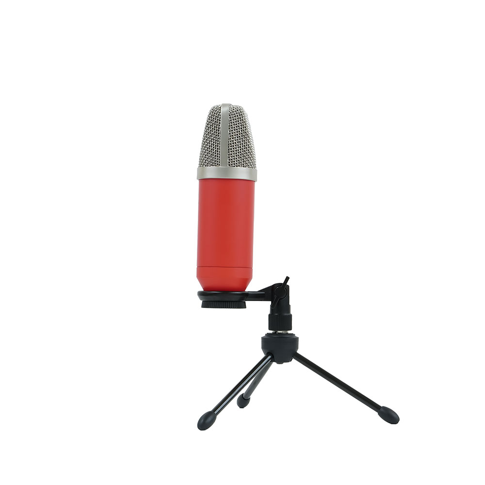 楽天市場】【数量限定・SEIDEコンデンサーマイク付きセット】Focusrite