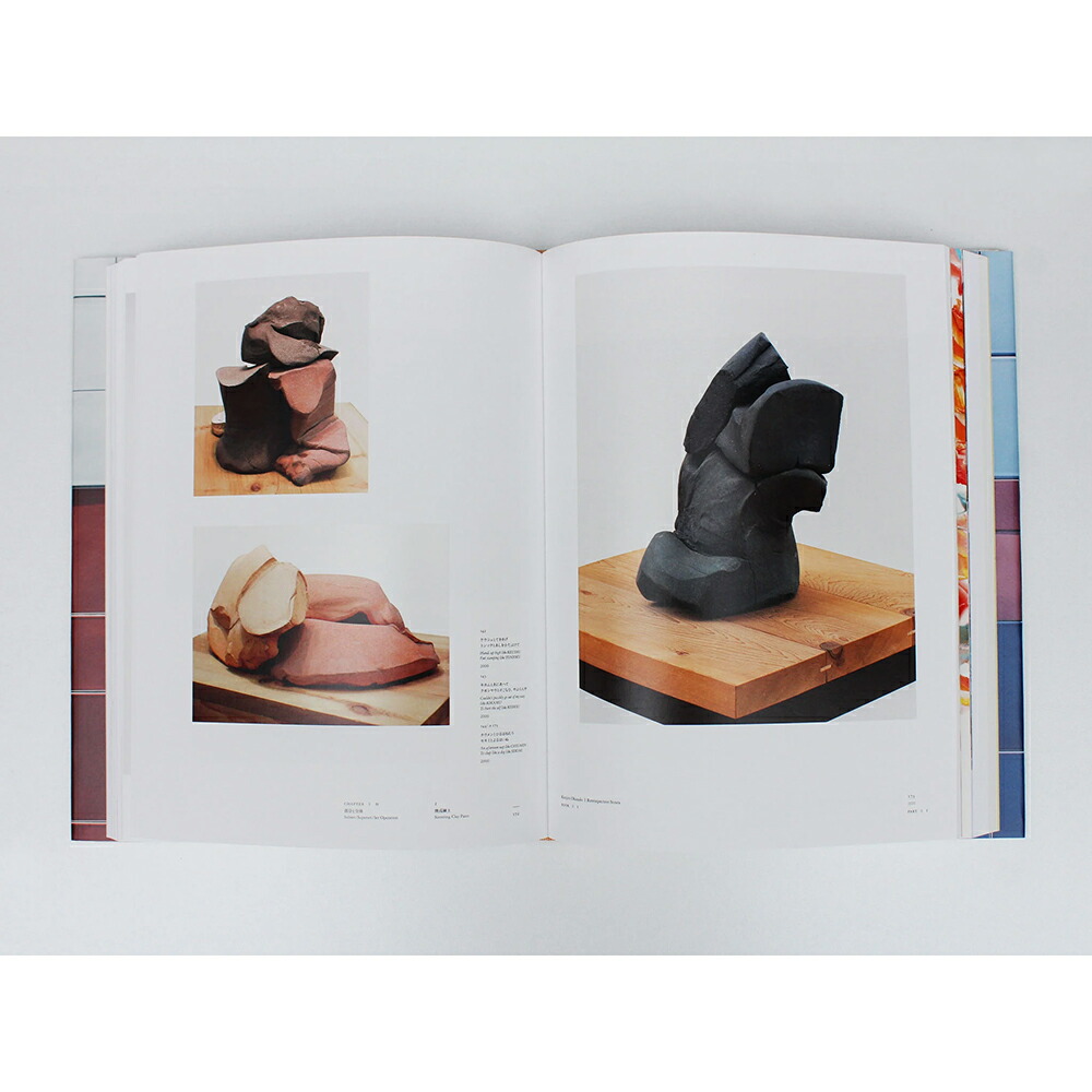 楽天市場】【サイン入り】岡崎乾二郎 視覚のカイソウ : 京都 蔦屋書店