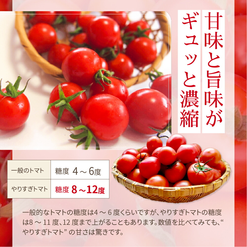 楽天市場】【やりすぎトマト】 和田農園 1箱3kg 送料無料 産地直送 直