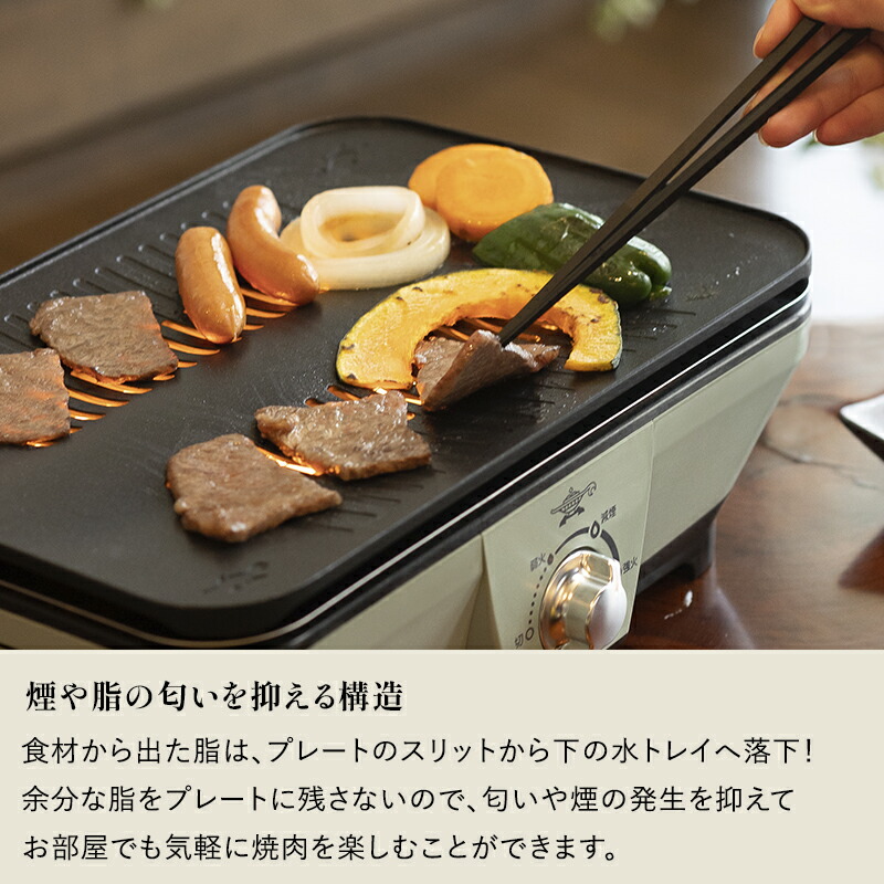 楽天市場】【レビュー特典】 Alladin アラジン『 グラファイト ミニ