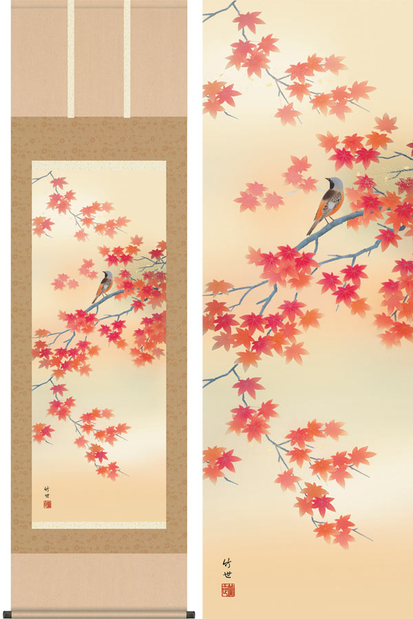 楽天市場】掛け軸 紅葉に小鳥 (田村竹世) 送料無料 掛軸 : 掛け軸