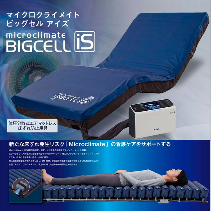 楽天市場】ビッグセルアイズの通販