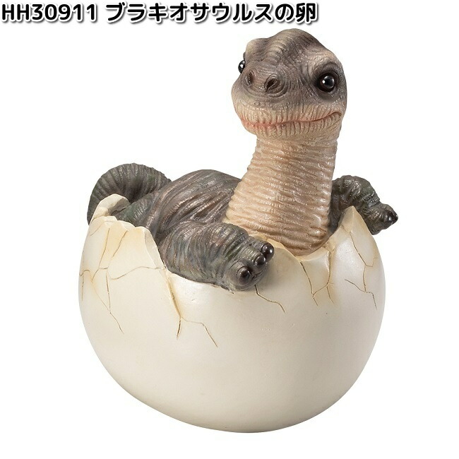 楽天市場】【3月下旬入荷予定】HH30911 ブラキオサウルスの卵