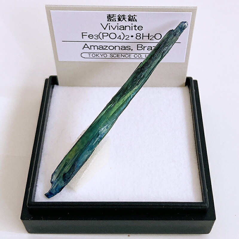 楽天市場】藍鉄鉱 （ブラジル） 標本 東京サイエンス ミニ鉱物標本