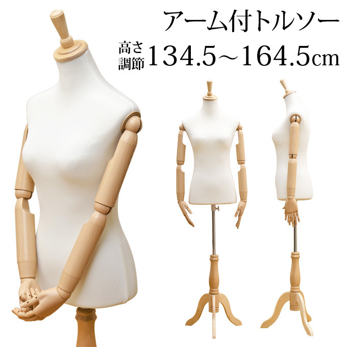 楽天市場】アーム付 トルソー肩・肘・手首・指の関節を動かすことが