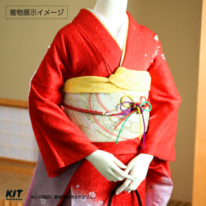 楽天市場】和装ボディ 胴長 木製台 木製クリアヘッド 着付けマネキン