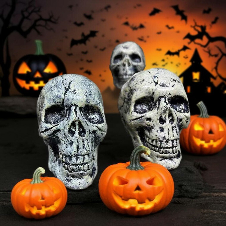 楽天市場】ハロウィン スカル 6体セット ハロウィン 飾り 骸骨 ドクロ