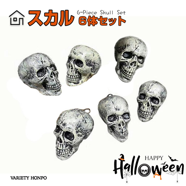 楽天市場】ハロウィン スカル 6体セット ハロウィン 飾り 骸骨 ドクロ