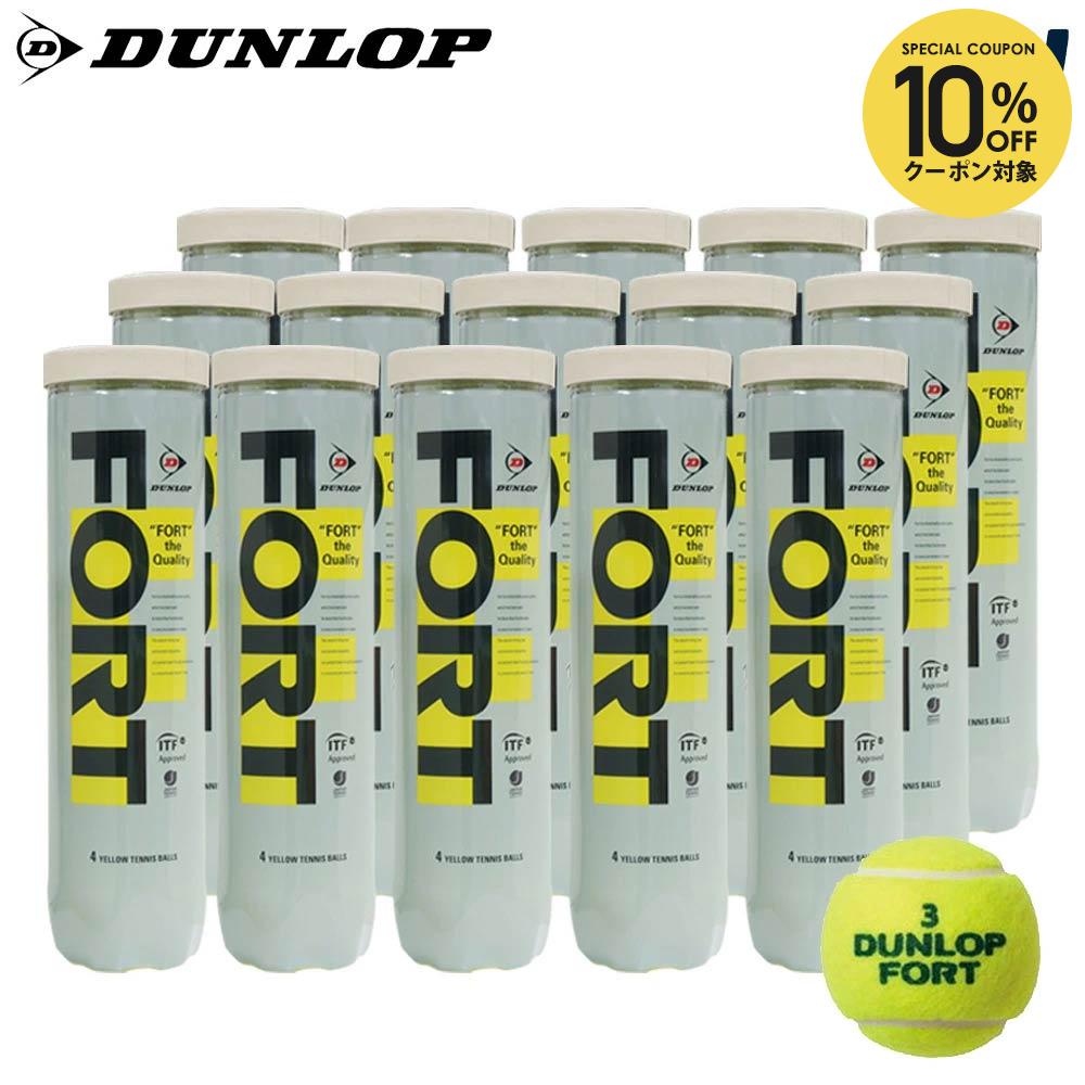 ダンロップ フォート 4球入 15缶 (テニスボール) 価格比較 - 価格.com