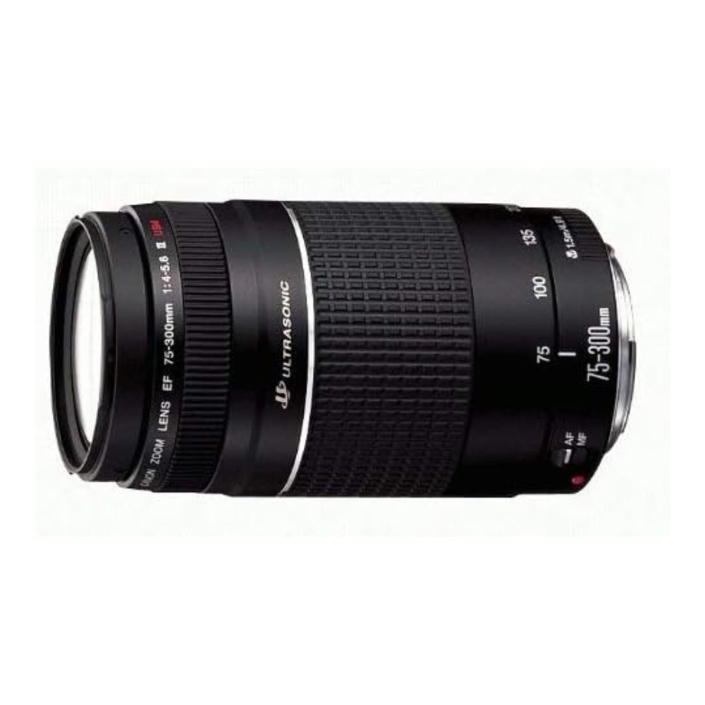 楽天市場】【1年保証】キヤノン Canon EF75-300mm F4-5.6 III EF 望遠