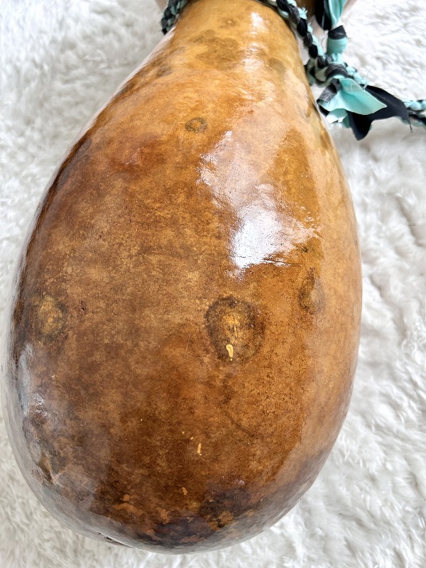 楽天市場】すぐに送れるイプヘケ◇56cm カウラ付 56センチ フラダンス